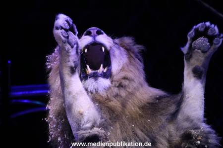 Charles Knie 30052018 215