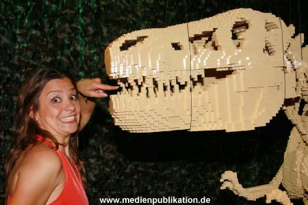 TheArtBrick 11052016 434
