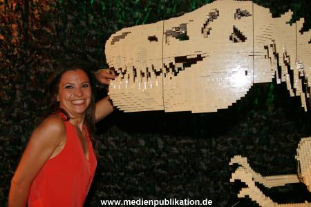 TheArtBrick 11052016 437