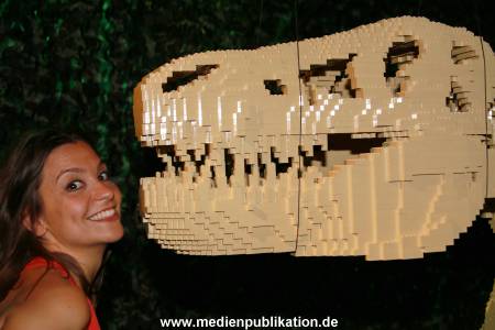 TheArtBrick 11052016 440