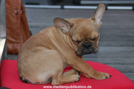 St Pauli Grillfest 23072011 015