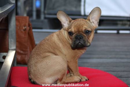St Pauli Grillfest 23072011 016