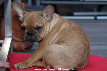 St Pauli Grillfest 23072011 019