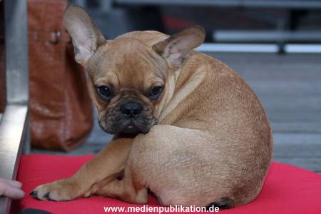 St Pauli Grillfest 23072011 020