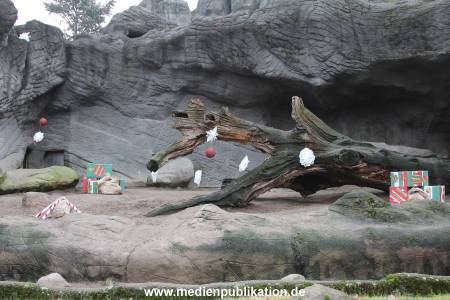Hagenbeck Weihnachten 23122016 001