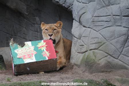 Hagenbeck Weihnachten 23122016 009