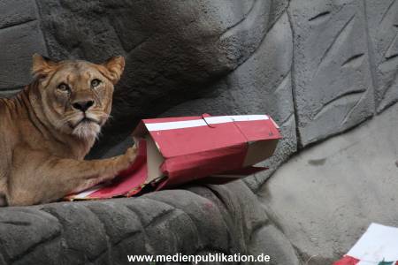 Hagenbeck Weihnachten 23122016 012