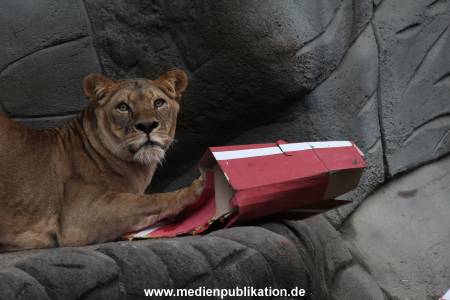 Hagenbeck Weihnachten 23122016 013