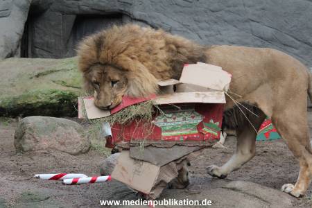 Hagenbeck Weihnachten 23122016 019