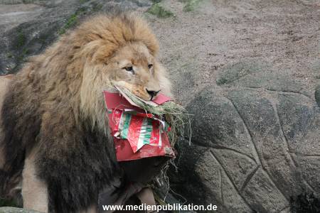 Hagenbeck Weihnachten 23122016 022