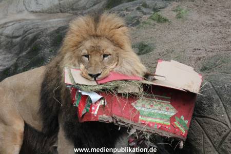 Hagenbeck Weihnachten 23122016 024