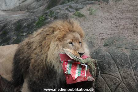 Hagenbeck Weihnachten 23122016 026