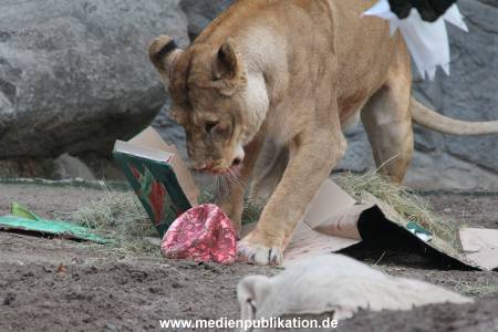 Hagenbeck Weihnachten 23122016 031