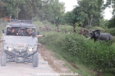 Ludolf Serengeti Park 024
