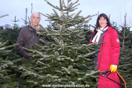 Glantz Promi Baumsaegen 11122016 037