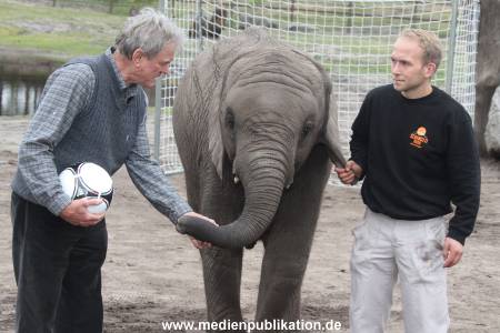Serengeti Maier 06062012 009