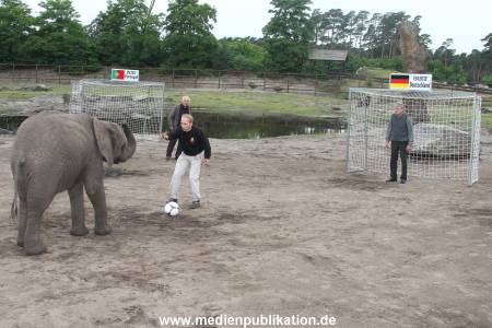 Serengeti Maier 06062012 015