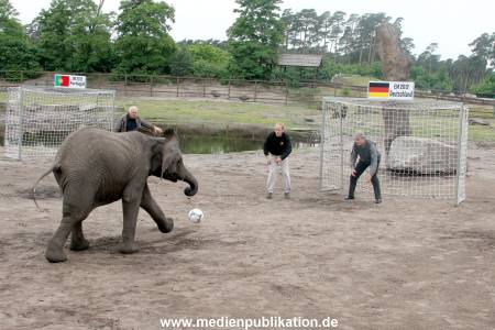 Serengeti Maier 06062012 016