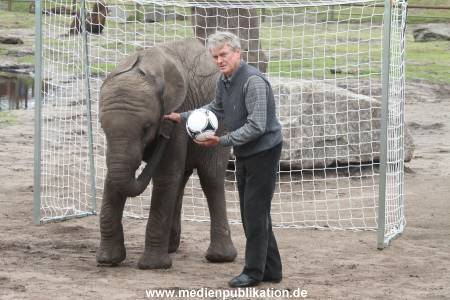 Serengeti Maier 06062012 023