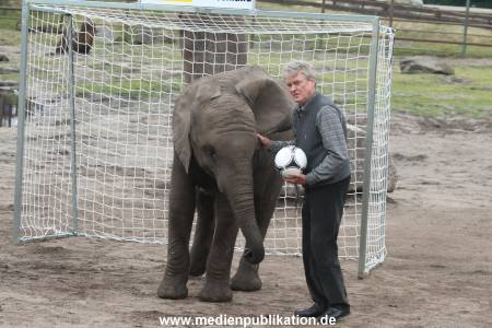 Serengeti Maier 06062012 025