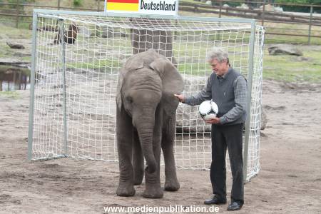 Serengeti Maier 06062012 028