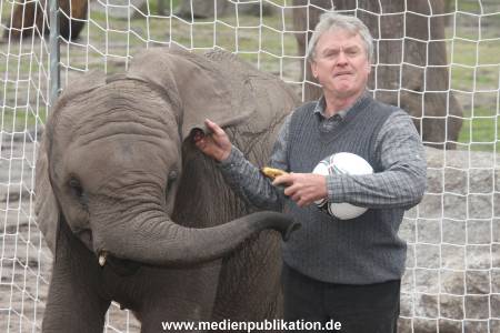 Serengeti Maier 06062012 049