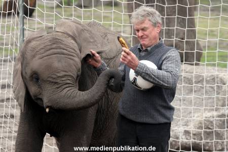 Serengeti Maier 06062012 051