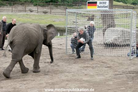 Serengeti Maier 06062012 061