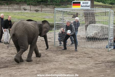 Serengeti Maier 06062012 062