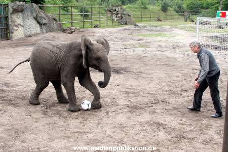 Serengeti Maier 06062012 089