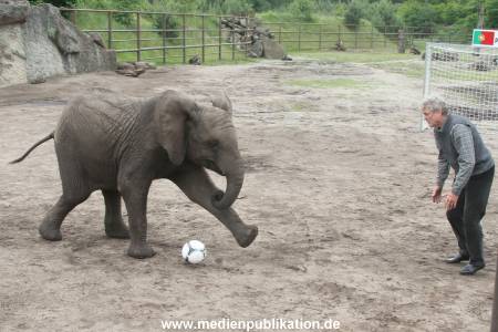 Serengeti Maier 06062012 090