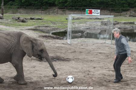 Serengeti Maier 06062012 091