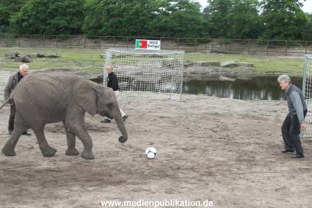 Serengeti Maier 06062012 097