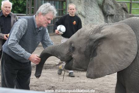 Serengeti Maier 06062012 100