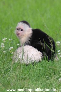 Mally 26062013 020
