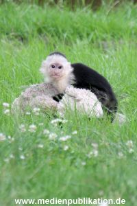 Mally 26062013 044