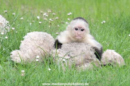 Mally 26062013 055