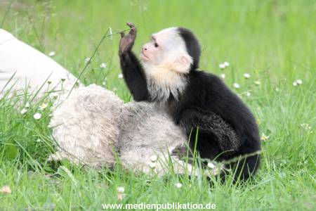 Mally 26062013 058