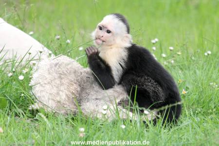 Mally 26062013 059