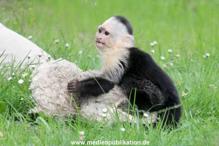 Mally 26062013 060
