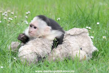 Mally 26062013 061