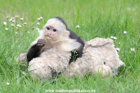 Mally 26062013 064