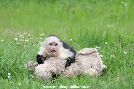 Mally 26062013 067
