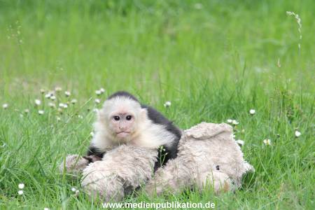 Mally 26062013 068