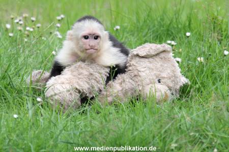 Mally 26062013 069
