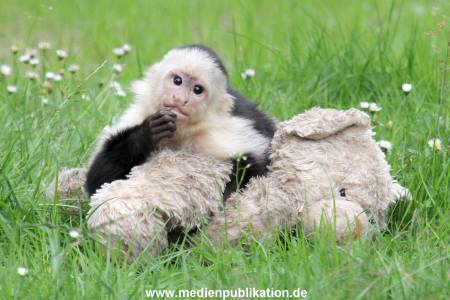 Mally 26062013 071