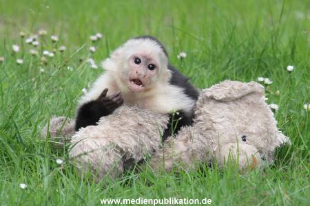 Mally 26062013 072