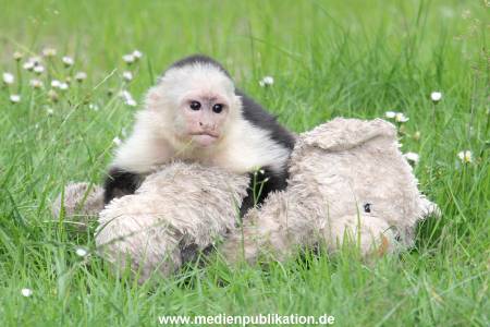 Mally 26062013 073