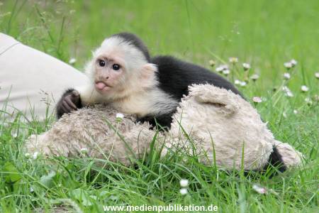 Mally 26062013 078