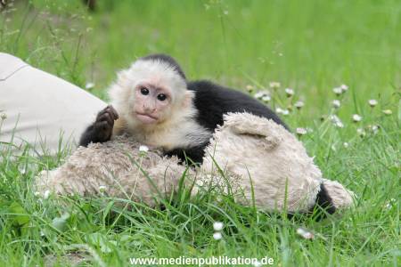 Mally 26062013 079